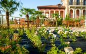 Туры в отель Jaguar Hotel