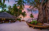 Туры в отель Yash Nature Resort