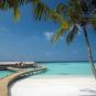 Туры в отель Milaidhoo Island Maldives, оператор Anex Tour