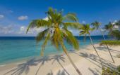 Туры в отель Milaidhoo Island Maldives
