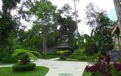 Туры в отель Senetan Villas & Spa Resort