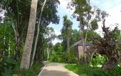 Туры в отель Senetan Villas & Spa Resort