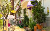 Туры в отель Grand Ambiance Hotel