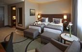 Туры в отель Crowne Plaza Istanbul Oryapark