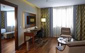 Туры в отель Crowne Plaza Istanbul Oryapark