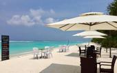 Туры в отель Planktons Beach