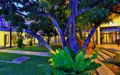 Туры в отель The Blue Wave Hotel