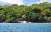 Туры в отель Plataran Menjangan Resort & Spa