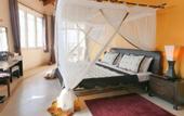 Туры в отель Villa Fleur de Lys