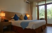 Туры в отель Plumeria Maldives Guest house
