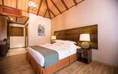 Туры в отель Plumeria Maldives Guest house