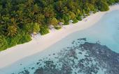 Туры в отель Plumeria Maldives Guest house
