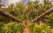 Туры в отель Plumeria Maldives Guest house