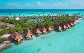 Туры в отель Dhigufaru Island Resort