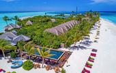 Туры в отель Dhigufaru Island Resort