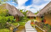 Туры в отель Dhigufaru Island Resort