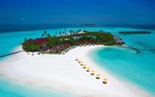Туры в отель Dhigufaru Island Resort