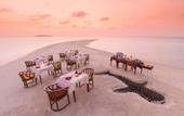 Туры в отель Dhigufaru Island Resort