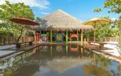Туры в отель Dhigufaru Island Resort