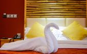 Туры в отель Clear Sky Inn