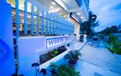 Туры в отель The White Harp Beach Hotel