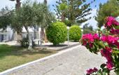 Туры в отель Blue Nest Hotel