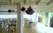 Туры в отель Shangrela Beach Resort