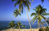 Туры в отель Ibis Styles Goa Calangute