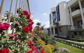 Туры в отель Hotel Doesi