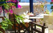 Туры в отель Pelagia Beach