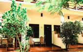 Туры в отель Surf Sea Breeze Hotel