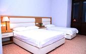 Туры в отель Antique Hotel