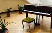 Туры в отель D`Plaza Hotel