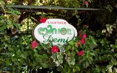 Туры в отель Demi Hotel