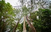 Туры в отель Flora I Talay Resort