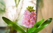 Туры в отель Flora I Talay Resort