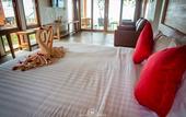 Туры в отель Flora I Talay Resort