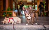 Туры в отель Flora I Talay Resort
