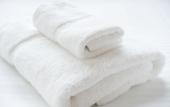 Туры в отель Hotel Villa Fontaine Hatchobori