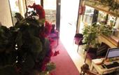 Туры в отель Nagehan Hotel Old City