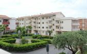 Туры в отель Enea (Sperlonga)