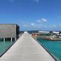 Туры в отель The St. Regis Maldives Vommuli Resort, оператор Anex Tour