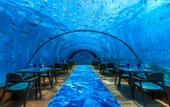Туры в отель Hurawalhi Island Resort