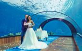 Туры в отель Hurawalhi Island Resort
