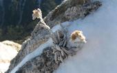 Туры в отель Ruskovets Resort