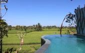 Туры в отель Ubud Padi Villas