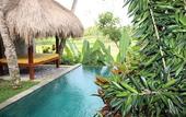 Туры в отель Ubud Padi Villas