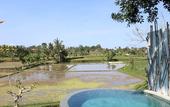 Туры в отель Ubud Padi Villas