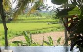 Туры в отель Ubud Padi Villas