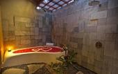 Туры в отель Ubud Padi Villas